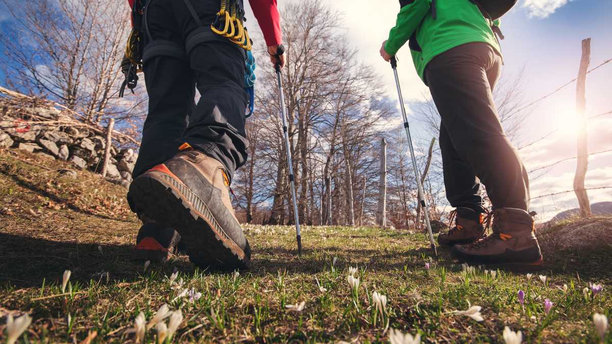 I Migliori Trekking nei Dintorni di Sanremo: Avventure nel Cuore della Liguria